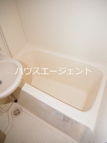 ラクダ 風呂画像