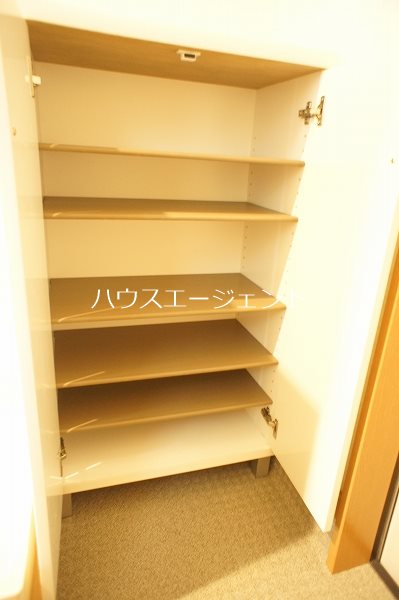 野崎ハイツⅠ 玄関