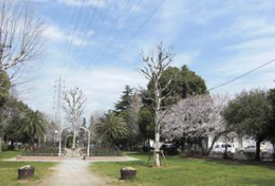 愛幸中葛西マンション 周辺画像8