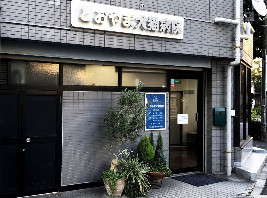 庄司ビル 周辺画像3