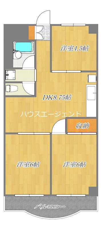 キャピタルコート ⅩⅠ 205号室 間取り