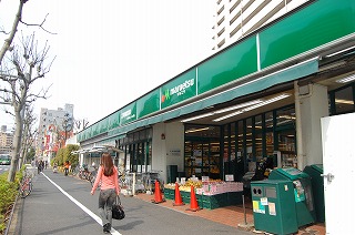 セレスティア東葛西Ⅵ 周辺画像3