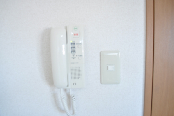 スプリングライト その他2