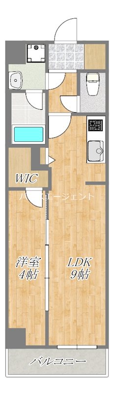 グランカーサ西葛西 407号室 間取り