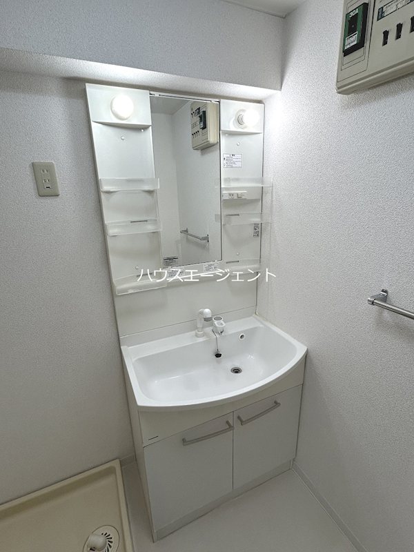 レピドール福田Ⅱ その他1