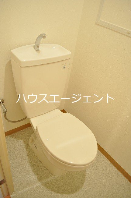 カーロヴィレッタ　Ⅱ その他2