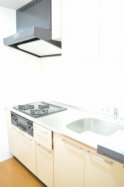 カーロヴィレッタ　Ⅱ キッチン