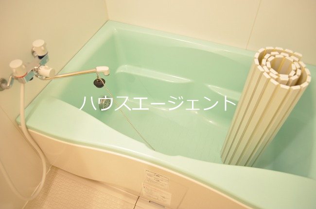 カーロヴィレッタ　Ⅱ 風呂画像