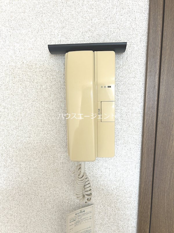 5・マルゴ その他2