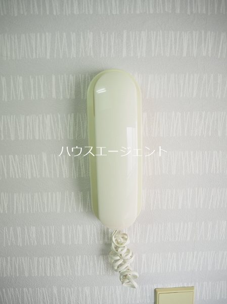 シャルマンモリタ その他2