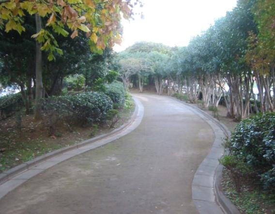 クレール４ 周辺画像10