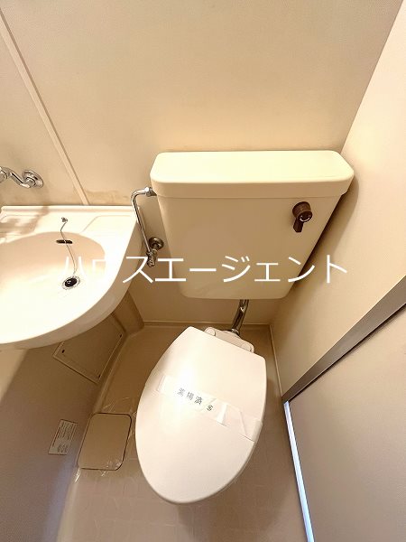 シャガール その他2