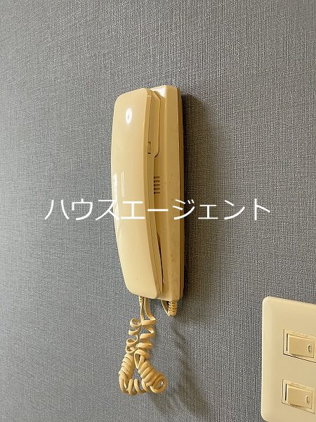 シャガール その他5