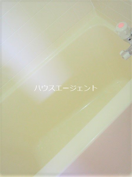 ドエルⅠ 風呂画像