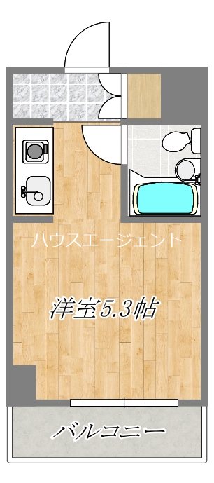 ニューガイアリルーム西葛西 No.59 511号室 間取り