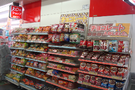 ニューガイアリルーム西葛西 No.59 周辺画像6