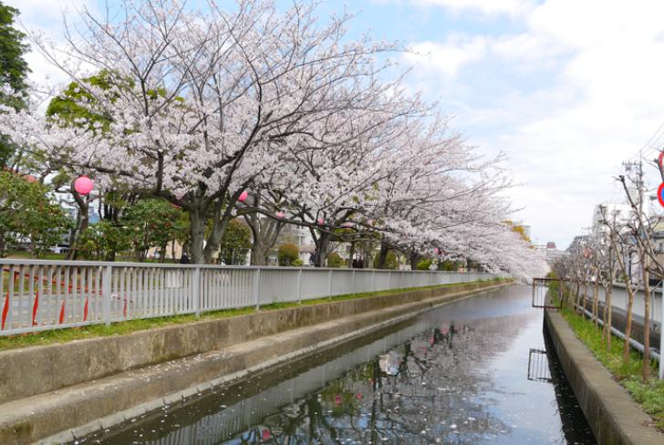 レピドール福田Ⅰ 周辺画像9