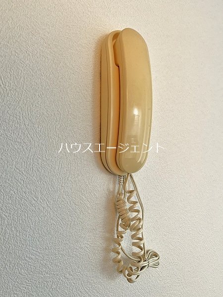 メゾン・アルベール その他3