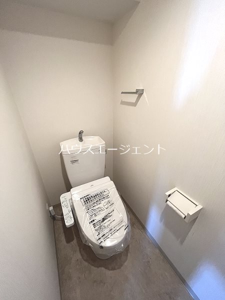 アルタイル・ Ｍ その他1