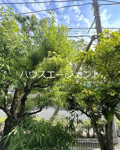 パークハイム西葛西 その他1