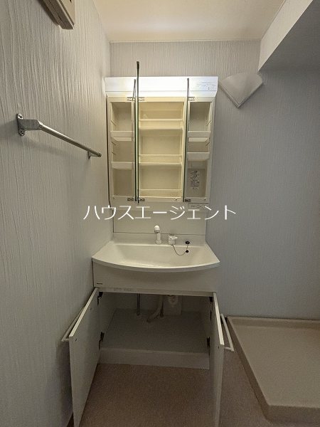 レピドール福田Ⅱ その他2