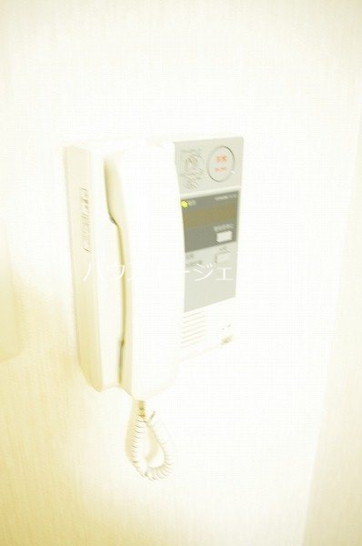 ラクダ セキュリティ