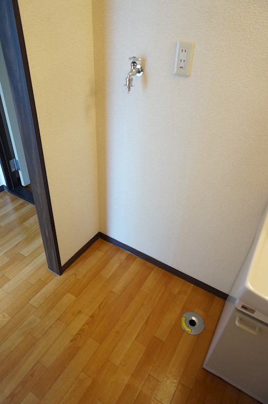 ＳＢＬ－１ その他