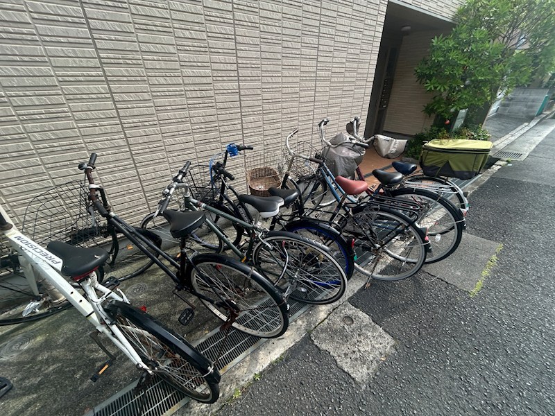 CARO SWEETY その他