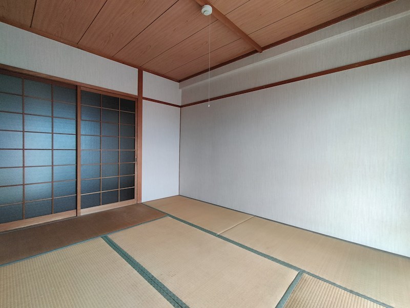 シャトル・イツキ その他