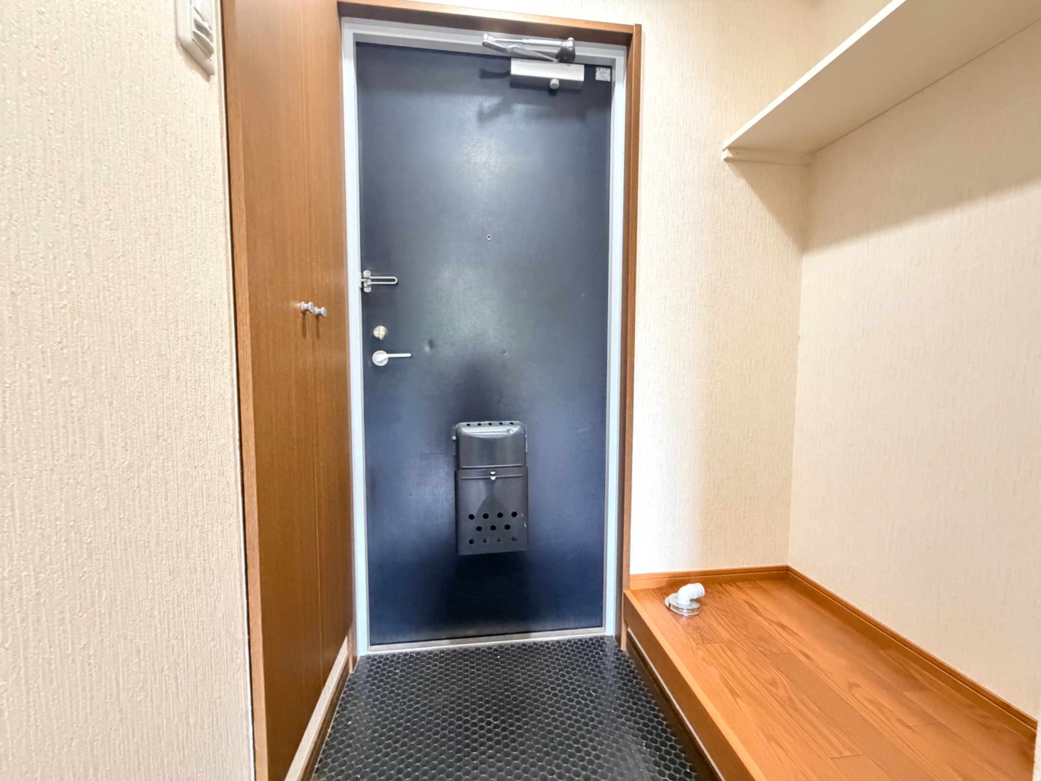 ステラハウス11 その他