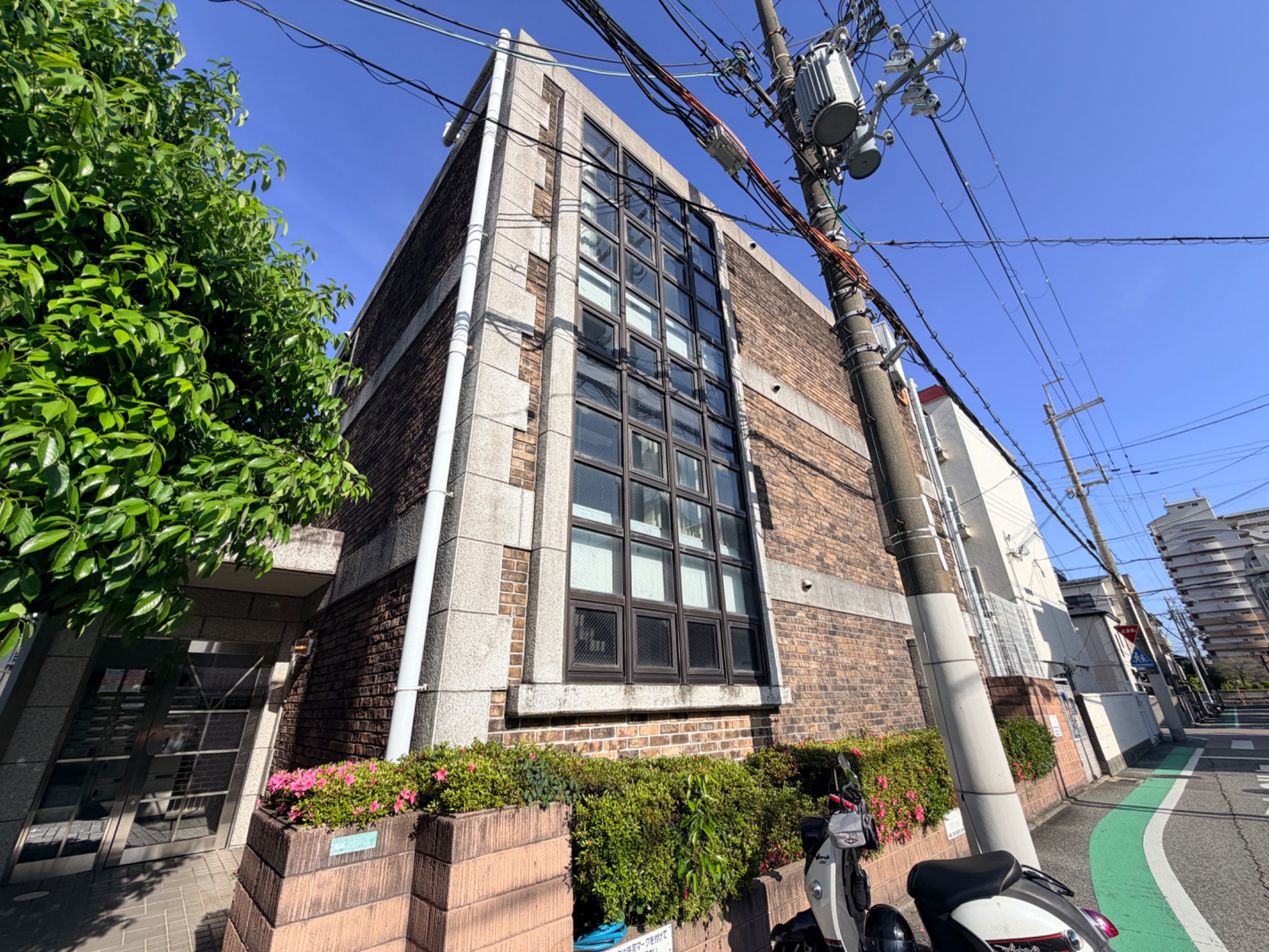 ステラハウス８ その他共有部分