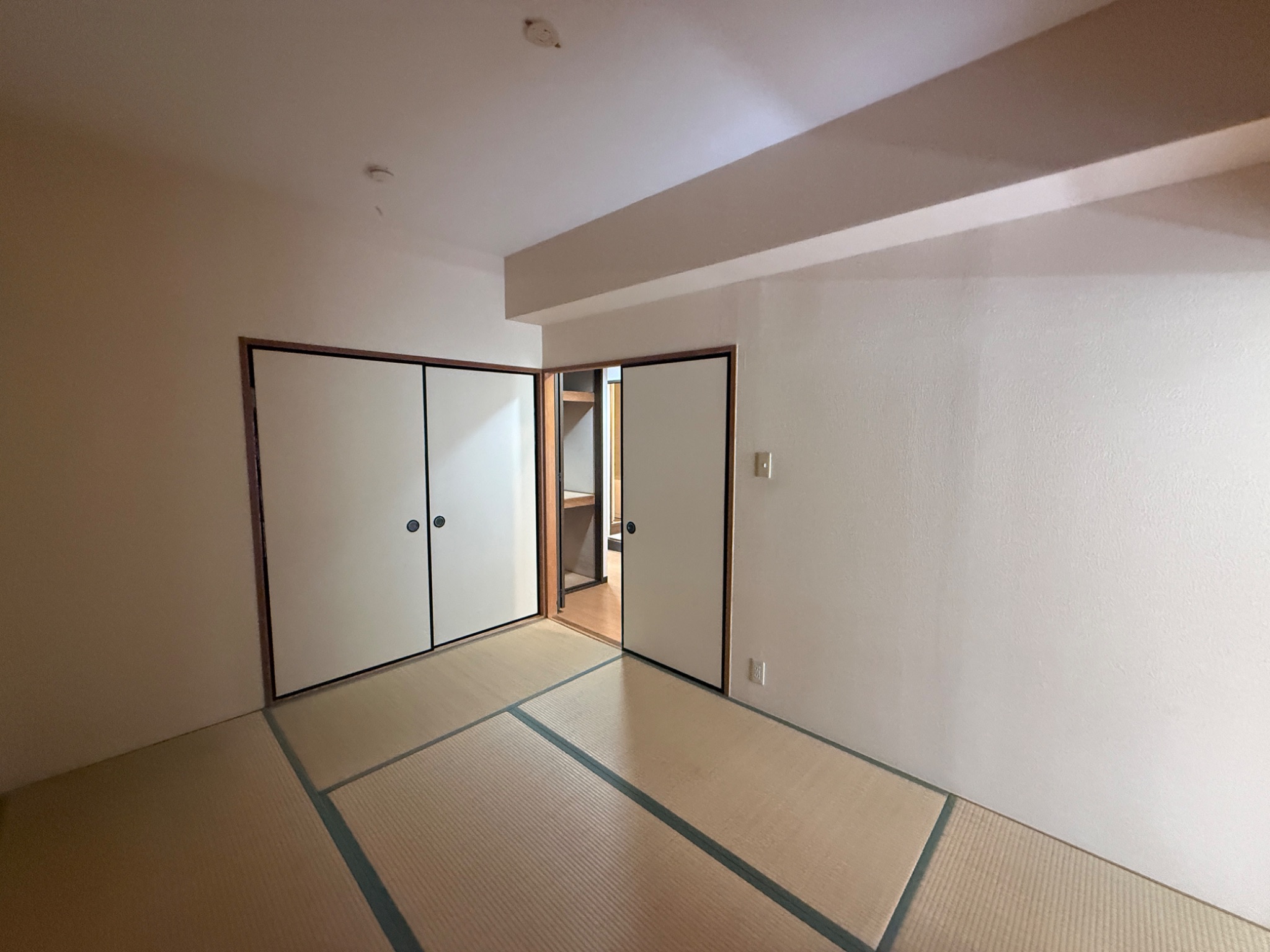 グレース17 その他