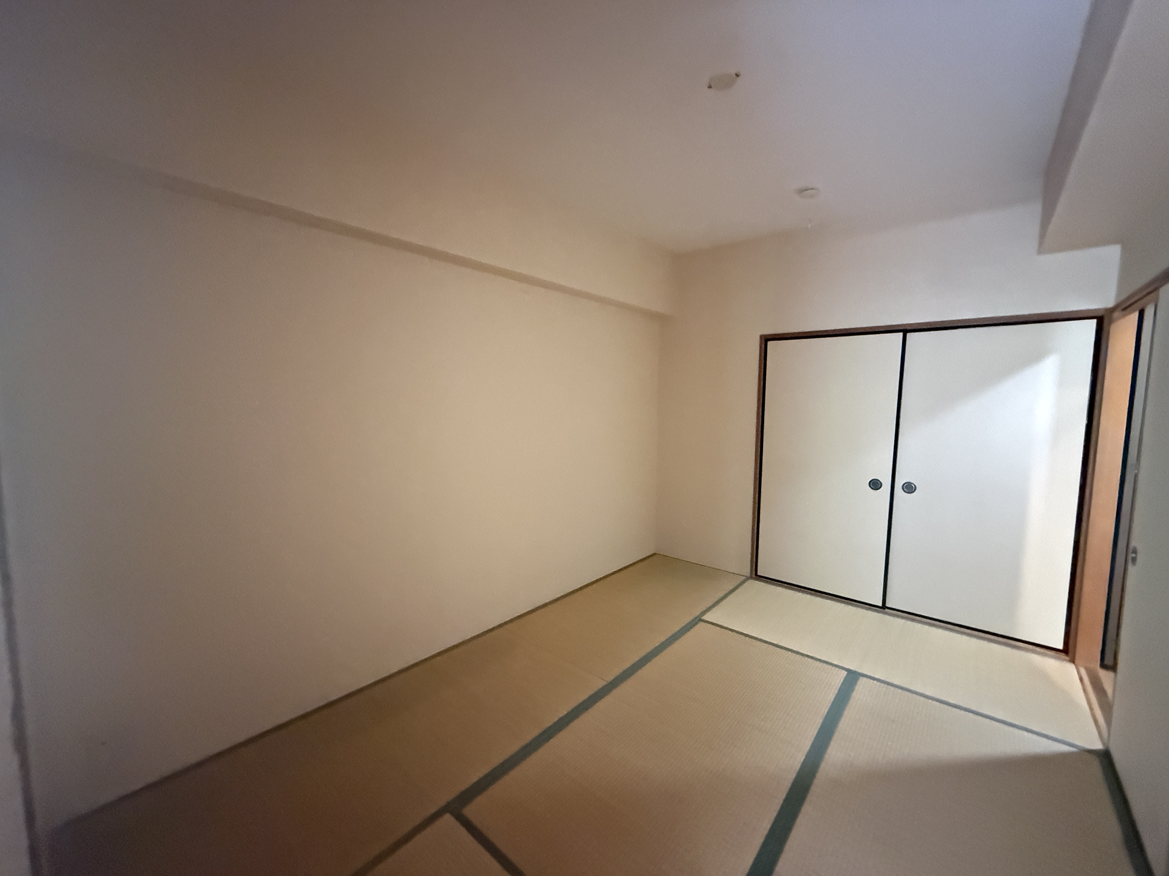 グレース17 その他