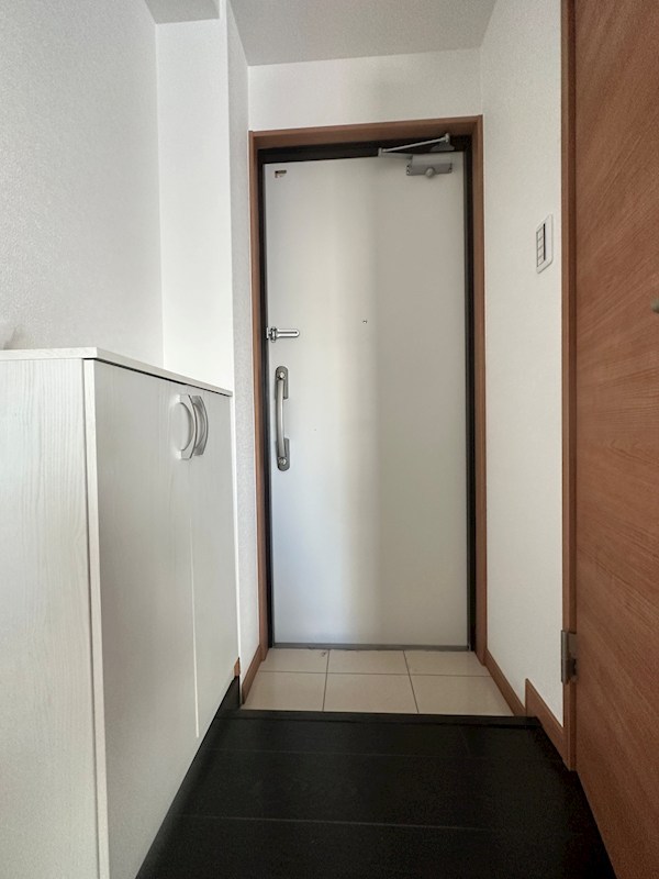 中天マンション 玄関