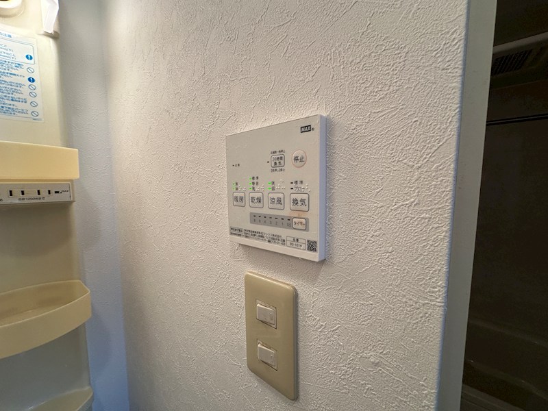 アムール親王塚 その他