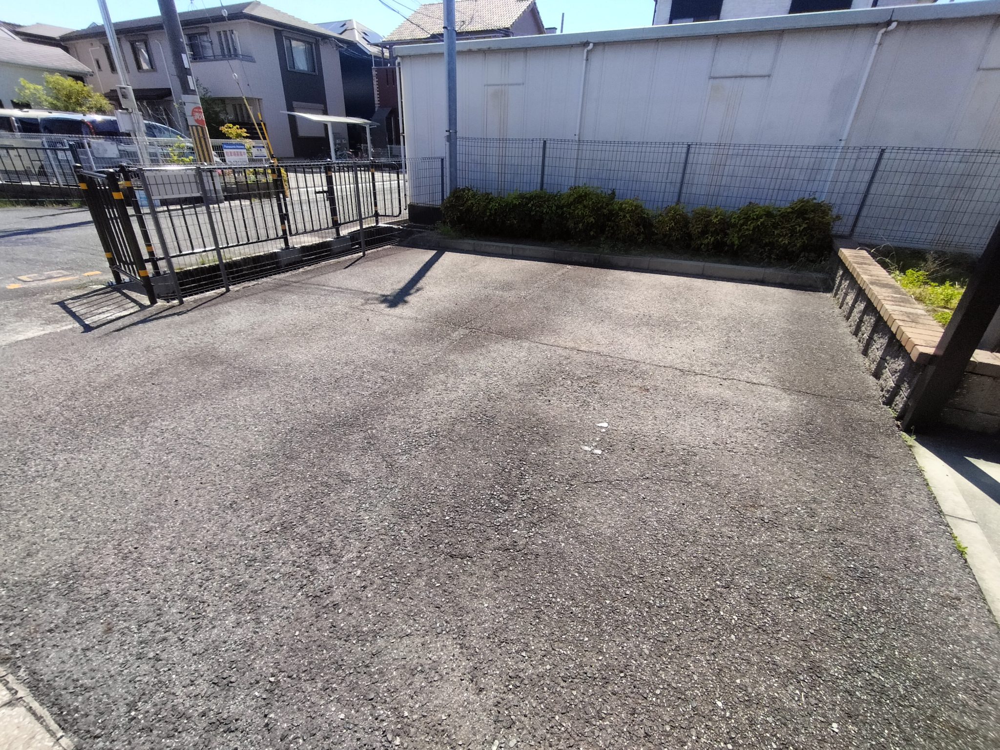 チェリーブロッサム その他