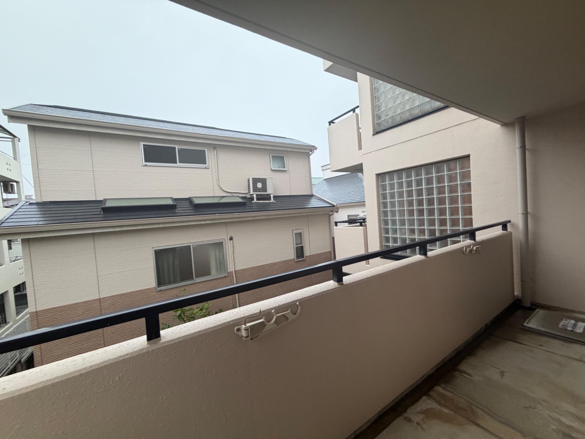 キャロル御影 その他