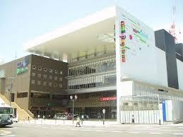 キャロル御影 その他