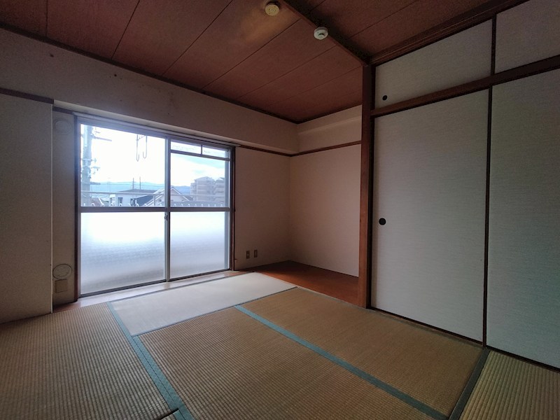 シャトル・イツキ その他