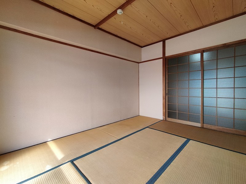 シャトル・イツキ その他