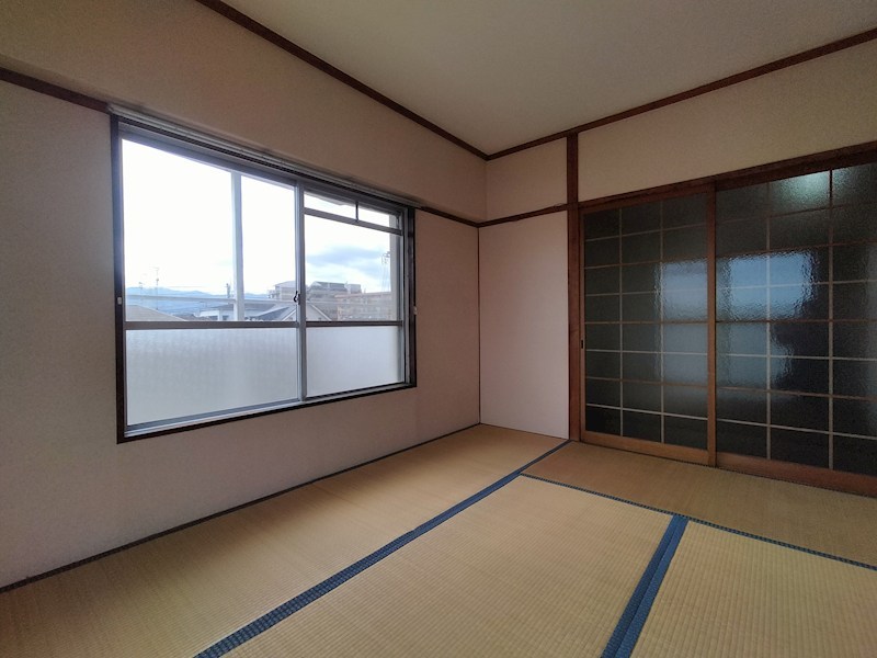 シャトル・イツキ その他