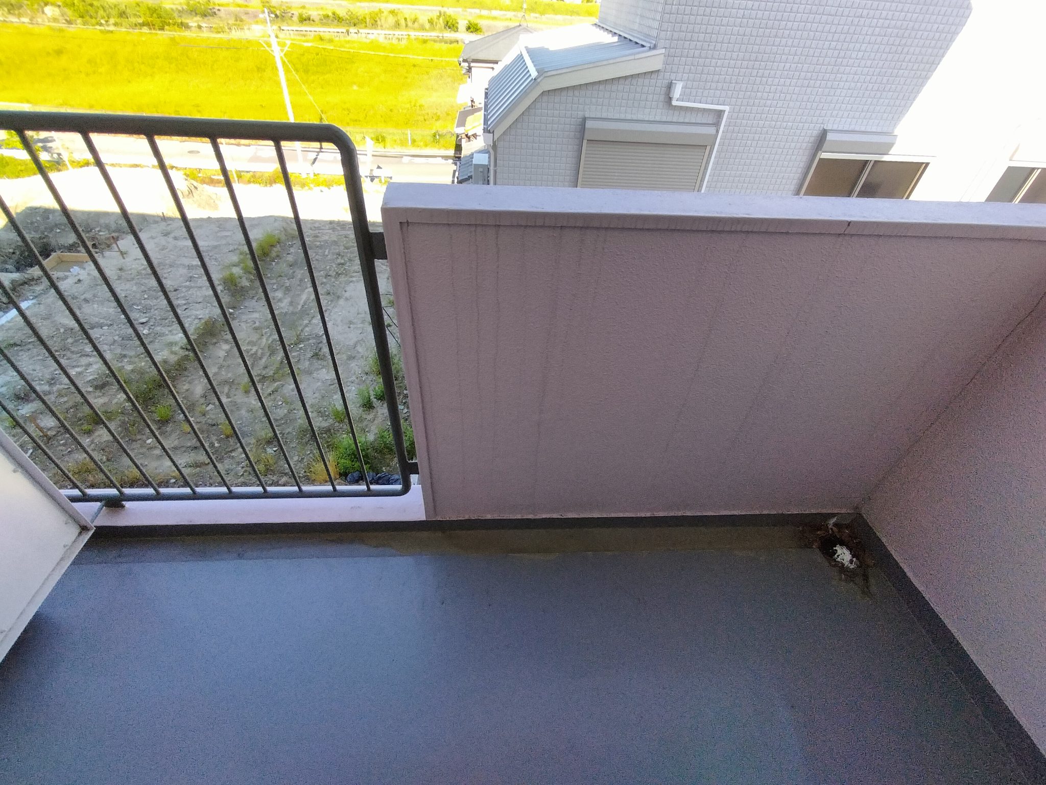 アメリア その他