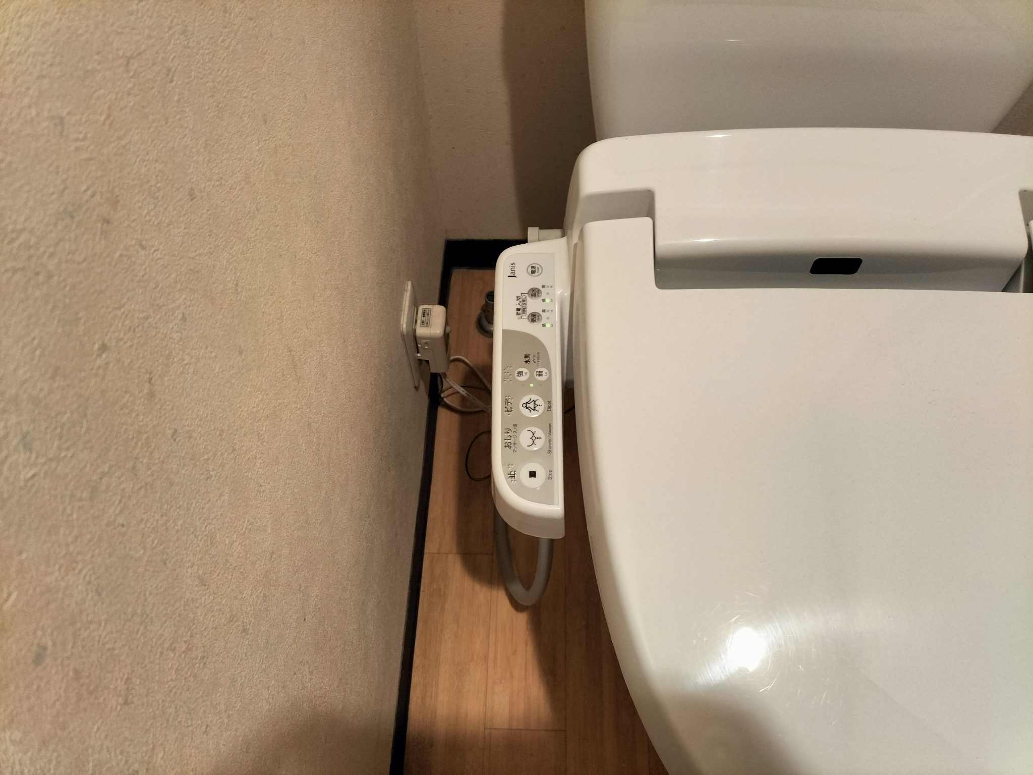 アメリア その他