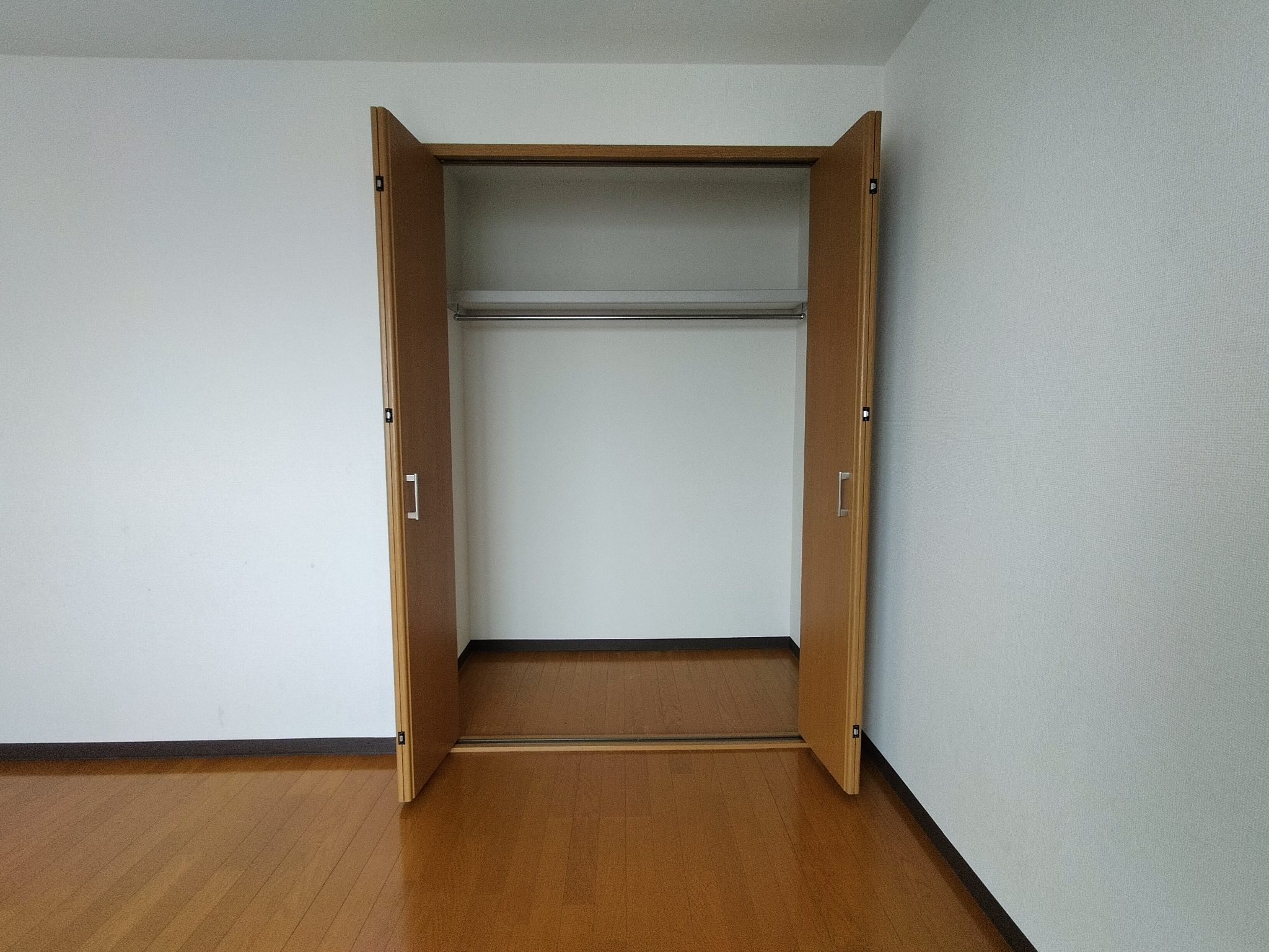 アメリア その他