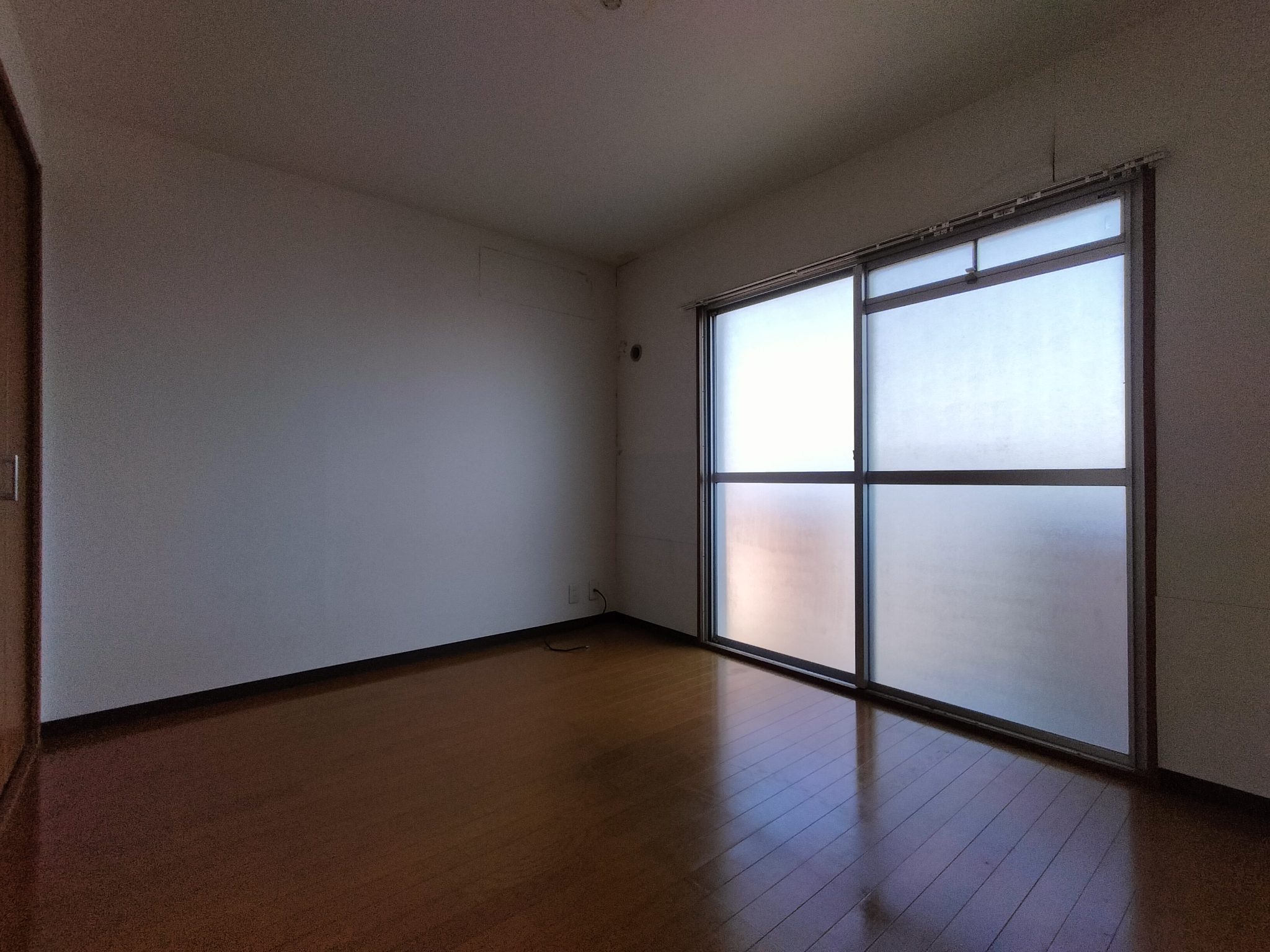 アメリア その他