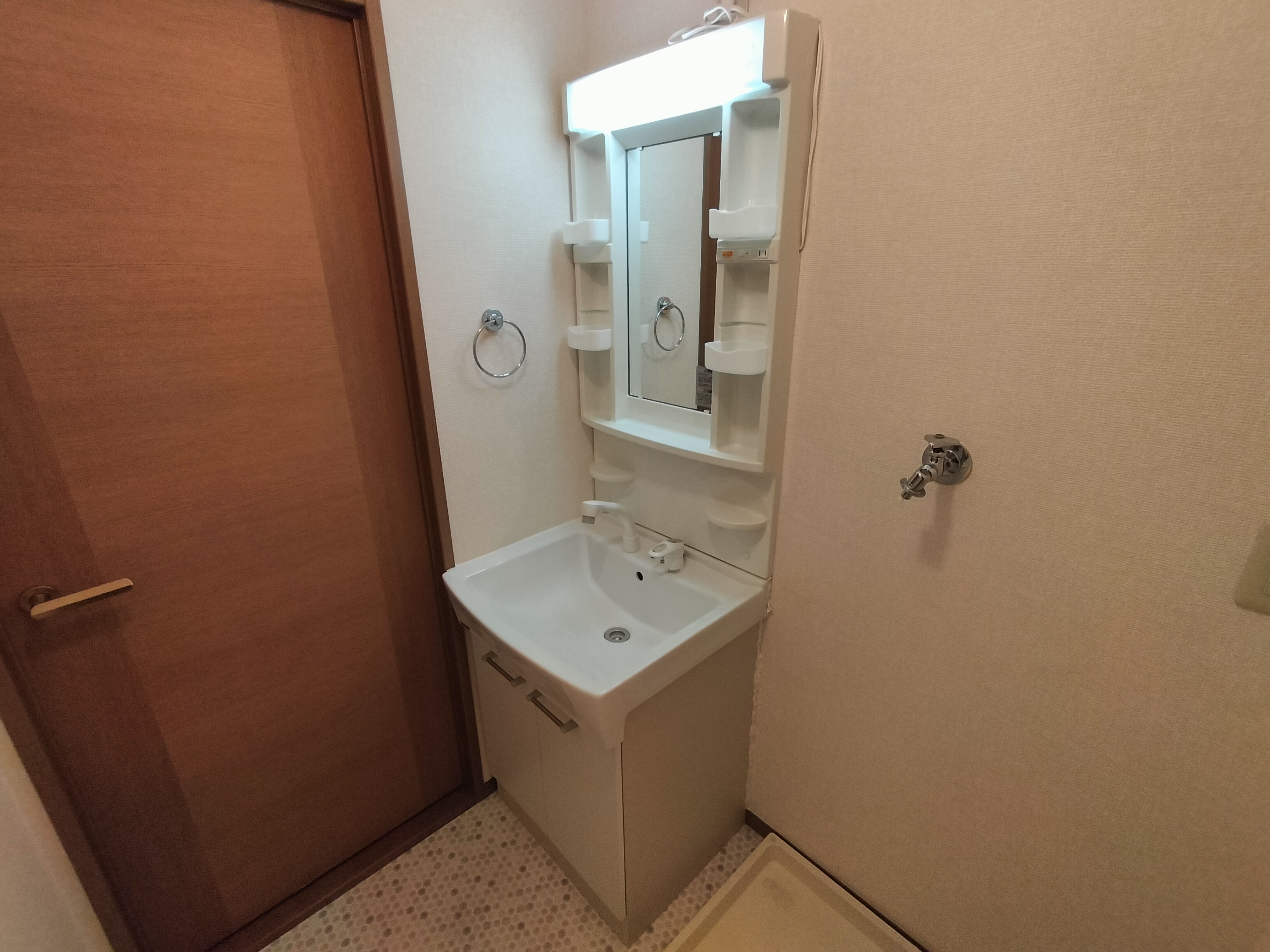 ヴァンベール東 洗面所