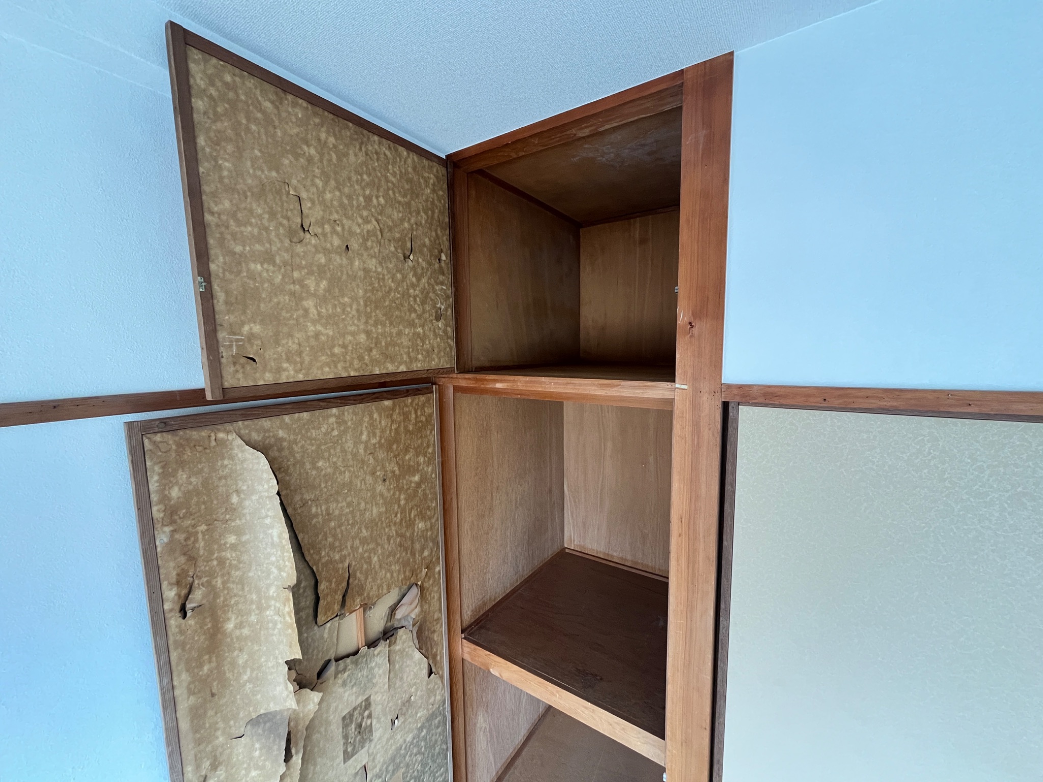 エルパラッツォ本山南 その他