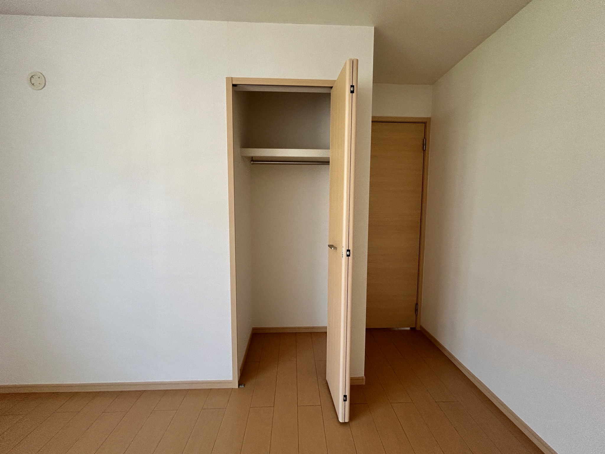 メイフラワー その他