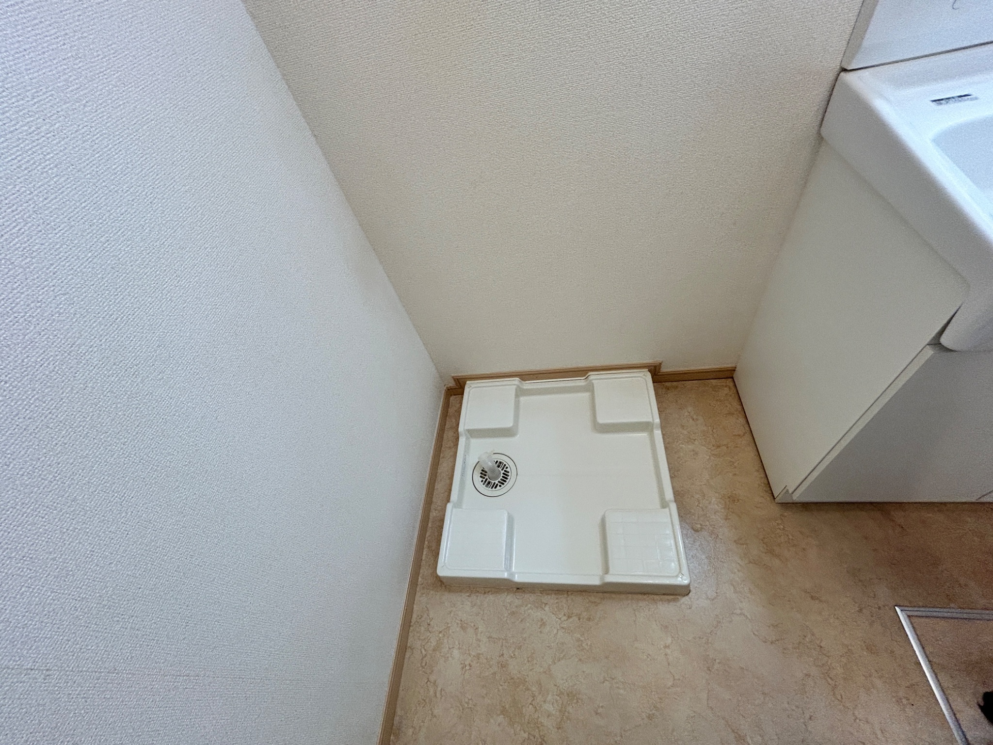 メイフラワー その他