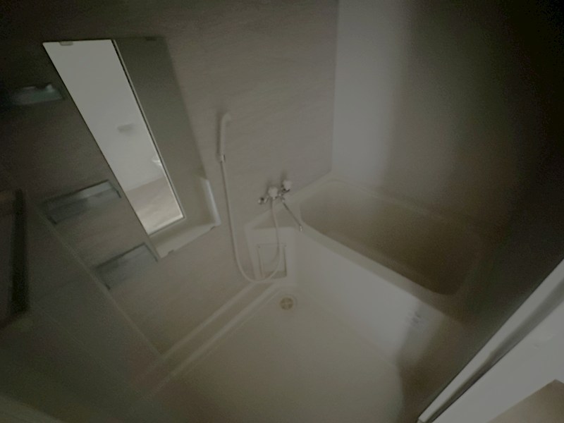 S-RESIDENCE神戸磯上通 風呂画像